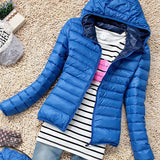 Coat&Jacket  Basic Jacket