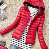 Coat&Jacket  Basic Jacket