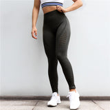 Gym Suits