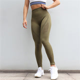 Gym Suits