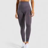 Gym Suits