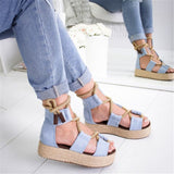 Shoes 7CM Heel Lace Up Sandals  Summer Women Shoes